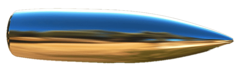 bullet